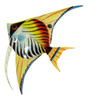 Tropical Bright Black Striped Multi Angel Fish Hanger 6angw17