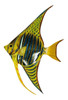 Tropical Bright Yellow Blue Striped Angel Fish Wall Hanger Bath Wall Decor