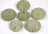 Tropical Natural Dried Green Sea Urchins Set of 6