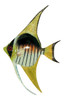 Tropical Bright White Yellow Black Angel Fish Hanger Wall Plaque