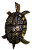 Tropical Antiqued Sea Turtle Tiki Wall Sconce Decor