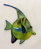 Big 12 Inch Tropical Green Angel Fish Bath Childrens Wall Decor 12TFW20ANG