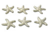 Coastal Ocean Animals White Starfish Minimals Set of 6 SPI Home