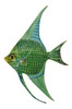 Tropical Bright Green Blue Striped Angel Fish Hanger Wall Plaque