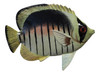 Handpainted Striped Tropical Fish Wall Beach Bath Decor Kids 6 inch TFW58