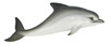 Bottlenose Gray Dolphin Wall Tiki Nursery Bath Decor 8 Inches