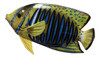 Big 12 Inch Tropical Fish Tiki Sea Life Bath Wall Decor Blue Stripe 12TFW40