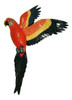 Flying Tropical Macaw Parrot Tiki Bar 19 Inch Wall Decor Red