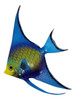 Tropical Bright Blue Yellow Multi Angel Fish Hanger Wall Decor