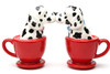 Dalmatian Dogs in Red Tea Cups Ceramic Salt and Pepper Shakers Magnetic