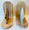 Scallop Shell Bookends Carved Wood Whitewash Finish