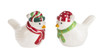 Kissing Birds in Winter Hats Holiday Salt and Pepper Shaker Set