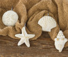 Beachy White Seashells Starfish Shower Curtain Hooks Set of 12 Bath Decor