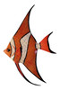 Orange and White Angel Fish Hanger Wall Decor 12ANGW38 Resin