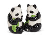 Panda Bears Eating Bamboo Salt and Pepper Shakers