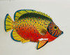 Tropical Fish Wall Decor 2 Dimensional Set of 5 Painted Resin 6 Inch 6 Inches