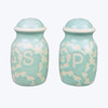 Turquoise Country Farmhouse Embossed Salt and Pepper Shakers Set Ceramic