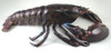 Replica 16 Inch Maine Ocean Coastal Sea Lobster Fishing Wall Decor