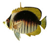 Brown White Yellow Tropical Fish Christmas Holiday Ornament TFO58 6 Inches Resin