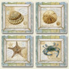 Blue Crab Starfish Shells Treasures of Sea Coasters Set of 4 Highland Graphics