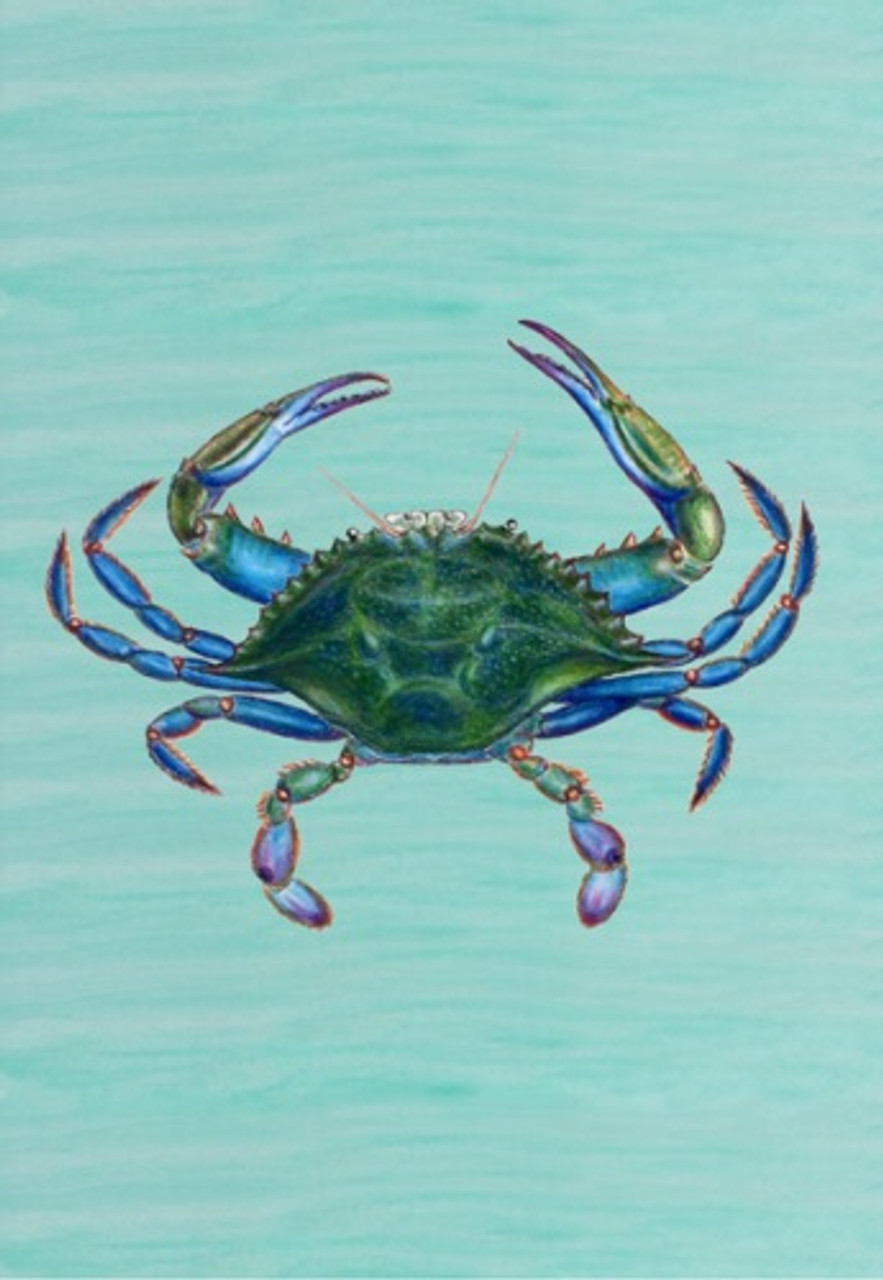 male blue crab