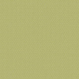 Outdura® Samba Basil 54" Upholstery Fabric (10812)