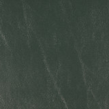 Morbern™ Seabrook Forest 54" Vinyl Fabric