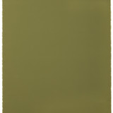 Outdura® Canvas Olive 54" Upholstery Fabric (5428)