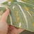 Crypton® Home Topia Leaf 54" Fabric