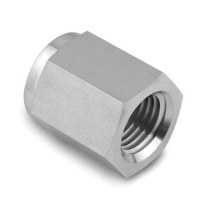 1/8 in. NPT Threaded - Pipe Cap - 316 Stainless Steel High Pressure Instrumentation Pipe Fitting (PSIG=6,100)