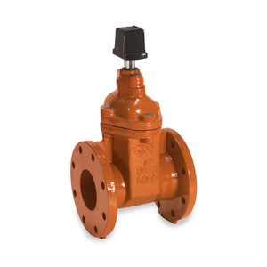2 in. Ductile Iron Flanged AWWA C515 Gate Valve With Op Nut - Series 10FN