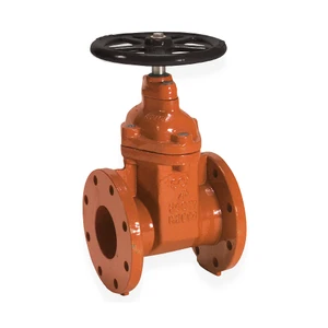 2-1/2 in. Ductile Iron Flanged AWWA C515 Gate Valve With Hand-Wheel - Series 10FW