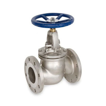2-1/2 in. Flanged Globe Valve 316SS 150 LB, Stainless Steel Valve