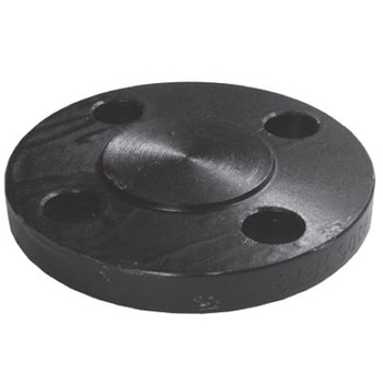 12 in. Blind Flange, 1/16 in. Raised Face, ASMTA105 Forged Steel Pipe Flange
