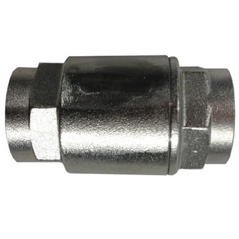 1 in. 300 WOG, 2 Piece Barrel Type Spring Check Valve, Stainless Steel