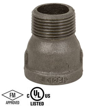 2 in. Black Pipe Fitting 150# Malleable Iron Threaded Extension Piece, UL/FM