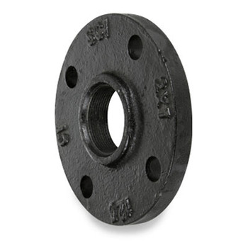 2 in. x 19 in. 125 lb. Cast Iron Black Reducing Companion Flange