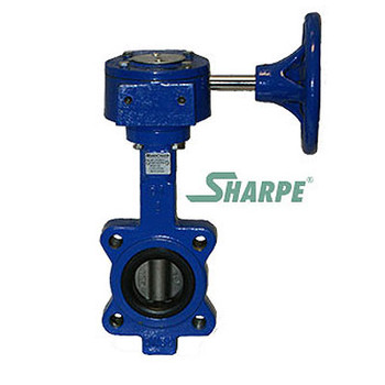 5 in. 200 PSI Ductile Iron Body Lug Style Butterfly Valve, 316 Stainless Steel Disc & Stem, BUNA Seat, Gear Operated Series 17