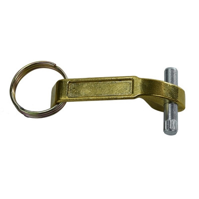 6 in. Arm, Ring & Pin - Brass Replacement Assembly (Camlock Handles)