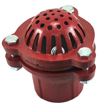 8 in. FNPT Threaded - Painted Cast Iron Suction Foot Valve (For Water Service Only*) View #3