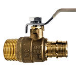 NPT Male Adapter PEX Valves