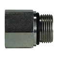 BSPP Female Adapters