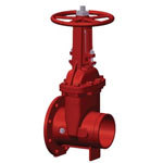 AOSY-FG OS&Y Gate Valves