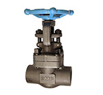 A105N Forged Steel 800# NPT Gate Valves