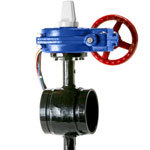 HPG1C Ductile Grooved 300 PSI Butterfly Valves