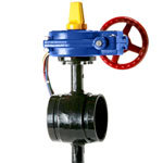 HPG Ductile Grooved 300 PSI Butterfly Valves