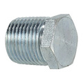 Hex Head Plug