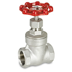 200# NPT 316 Stainless Steel Gate Valves