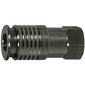 Stainless Steel Female Couplers