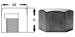 Pipe Fittings Hex Head Caps Stainless Steel